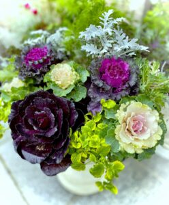 今月の花壇
