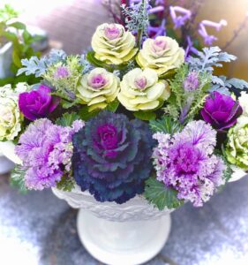 今月の花壇