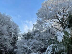 寒いです⛄